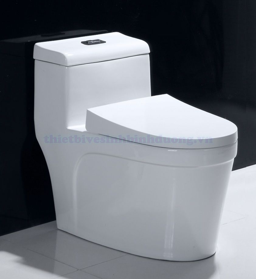 Bồn cầu Canary CA-C03